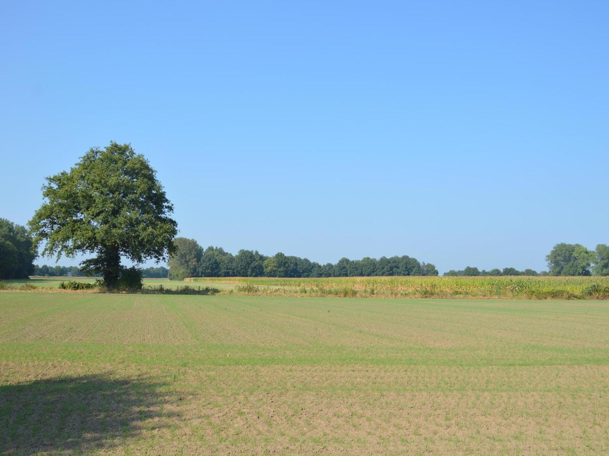 Quaint Farmhouse In Geesteren With Meadow View Экстерьер фото